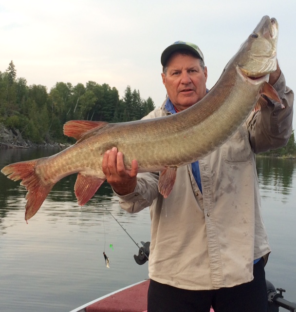 51 Inch Rowan Lake Muskie « Alexander's on Rowan Lake